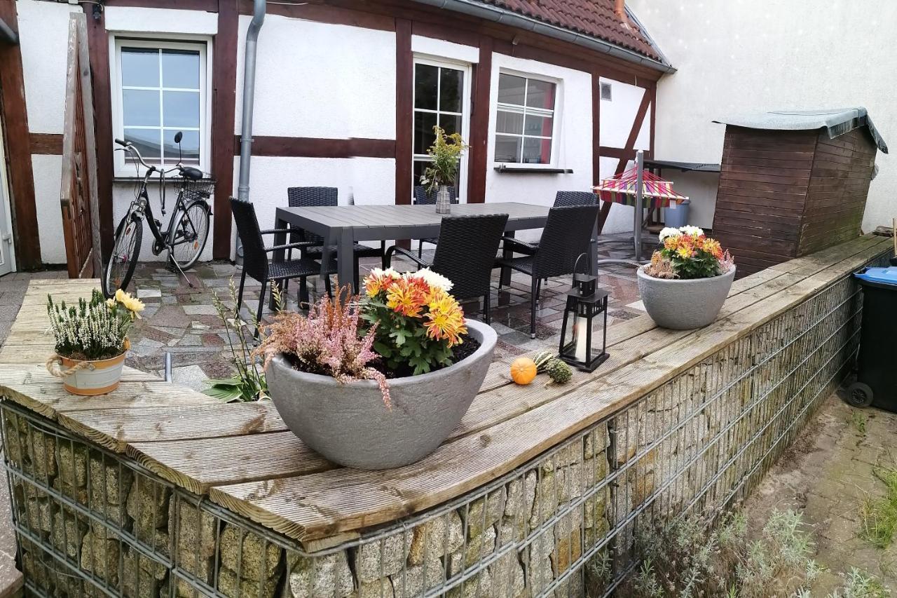Schöne Große Wohnung, Terrasse, Kamin, Parkplatz, Greifswald Exterior foto